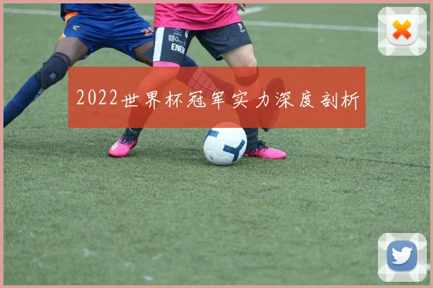 2022世界杯冠军实力深度剖析
