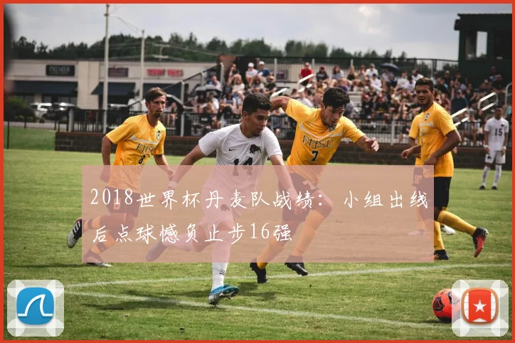 2018世界杯丹麦队战绩：小组出线后点球憾负止步16强