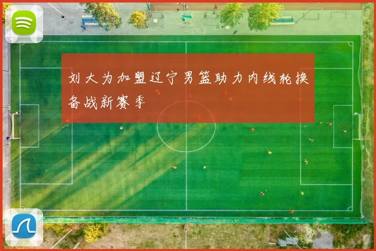 刘大为加盟辽宁男篮助力内线轮换备战新赛季