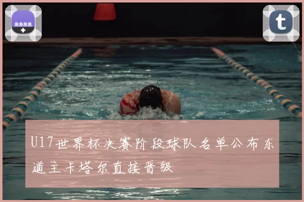 U17世界杯决赛阶段球队名单公布东道主卡塔尔直接晋级